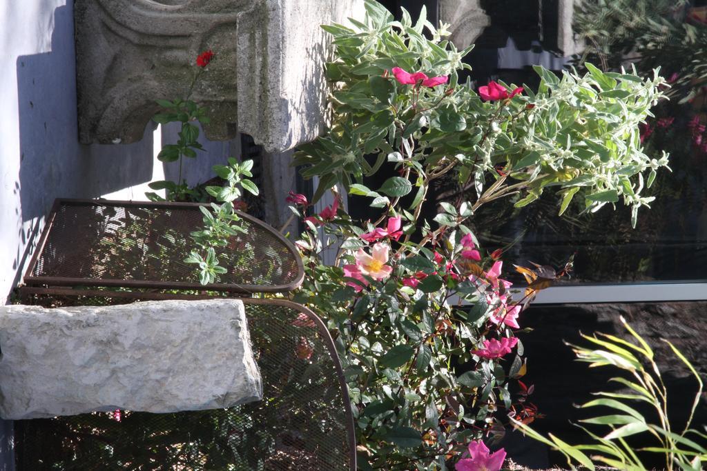 Inn 4 Bears Nîmes Kültér fotó